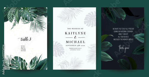 Tropical frames arranged from exotic emerald leaves