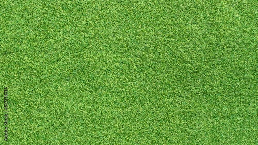 green grass motion background