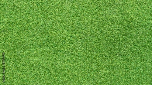 green grass motion background