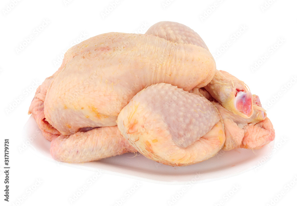 Fresh raw poussin chicken sometimes called spring chicken isolated on a white background Fresh raw poussin chicken sometimes called spring chicken isolated on a white background