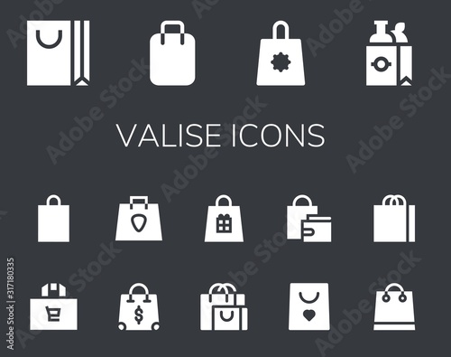 valise icon set