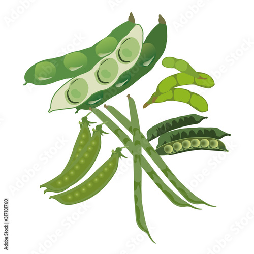 豆科野菜5種