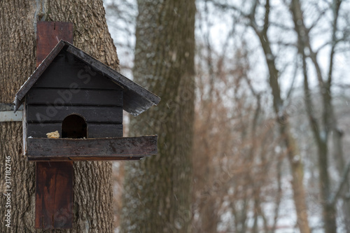 a pigeon feeder in the form of a wooden house hangs on a tree in winter. a piece of bread lies on the manger.