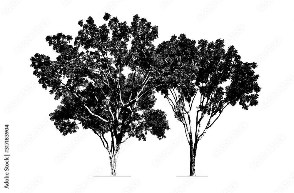 trees silhouette. high contrast style : vector  - obrazy, fototapety, plakaty 