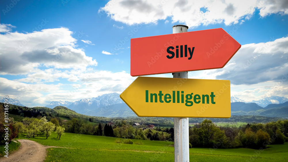 Street Sign Intelligent versus Silly