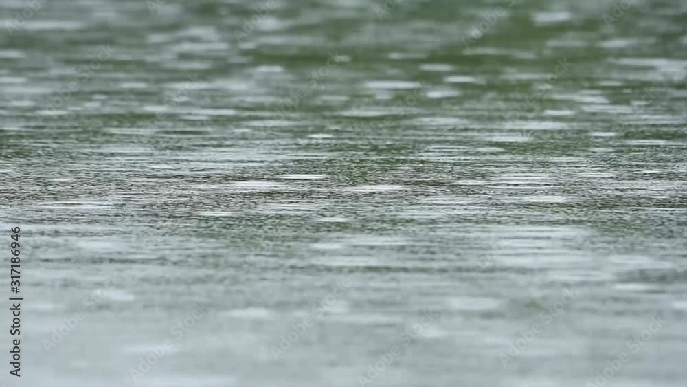 Rain Drops Falling on Surface of River Water Rain Drops Falling on Surface of River Water