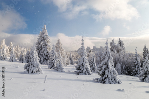 Winter in the mountains