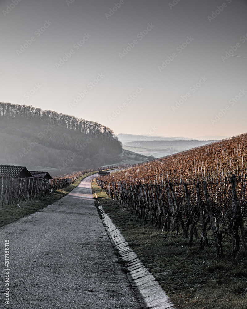 View over vineyards on a cold winter morning Großbottwar Germany