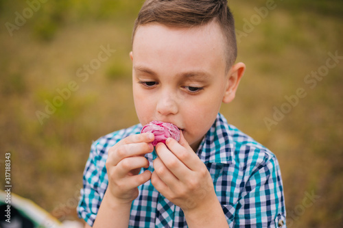 Blurred background. The boy breaks pink marshmallows in nature. Picnic in the field. Eco sweets