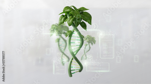 Obraz na plátně DNA growing as a plant - 3d rendering