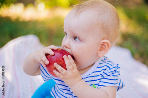 Little girl eats a red apple. Baby boy eating fruit in nature