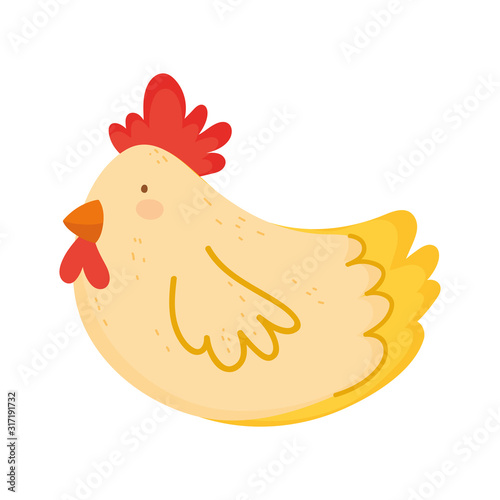 bird hen domestic farm animal cartoon