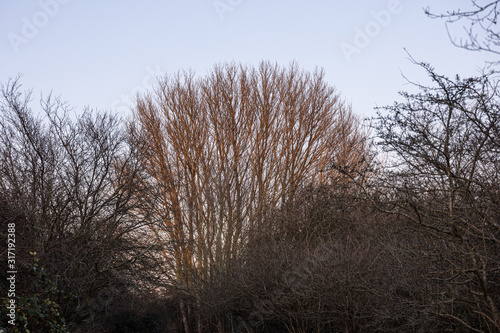 Photography Copenhagen winter