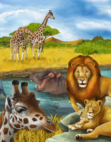 cartoon scene with giraffe and hippopotamus hippo near river and lion