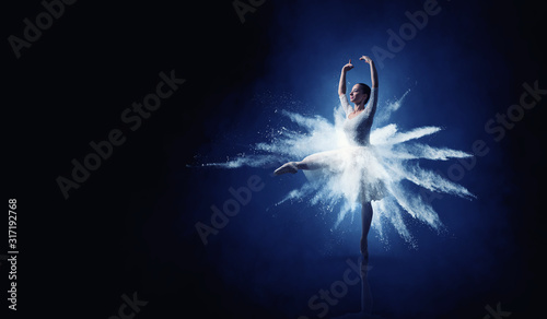 Tableau sur toile Ballet dancer in jump . Mixed media
