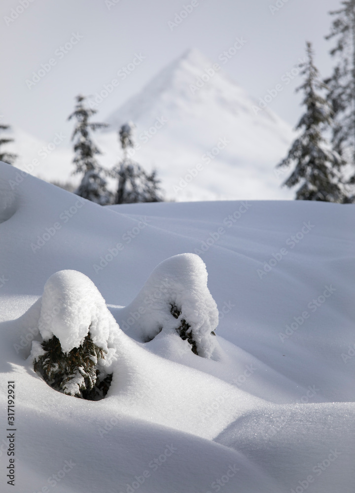 Snow-covered landscape along the path leading to the Nemes, on background the Col Quaternà, Sesto, Pusteria valley, Trentino Alto Adige, Italy, Europe Snow-covered landscape along the path leading to the Nemes, on background the Col Quaternà, Sesto, Pusteria valley, Trentino Alto Adige, Italy, Europe