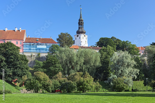 Tallinn, Estonia. Cathedral Hill (Toompea Hill) with tower of Dome Church (St. Mary's Cathedral) in Tallinn Old Town. View from Toompark, a park on the former earth fortification ground. photo