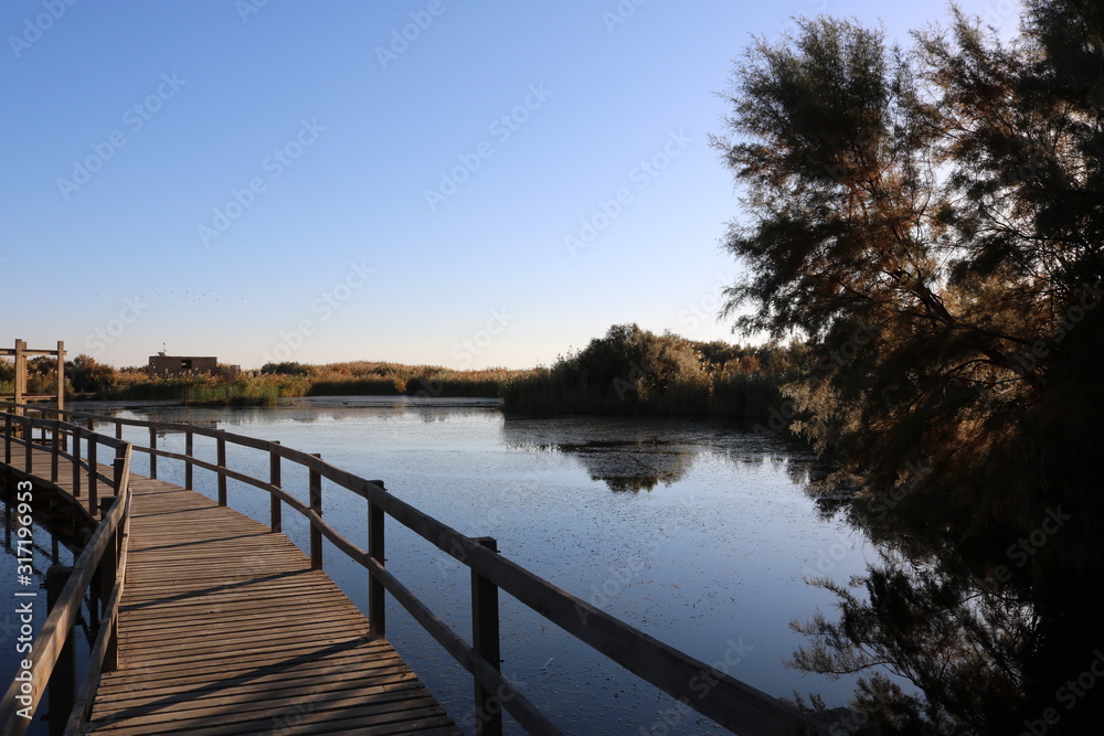 Fototapeta premium Azraq Wetland Reserve in Jordan