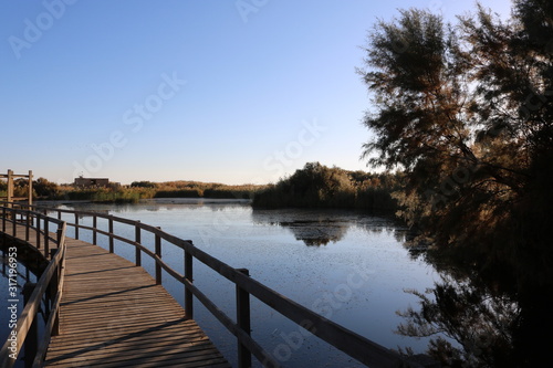 Azraq Wetland Reserve in Jordan