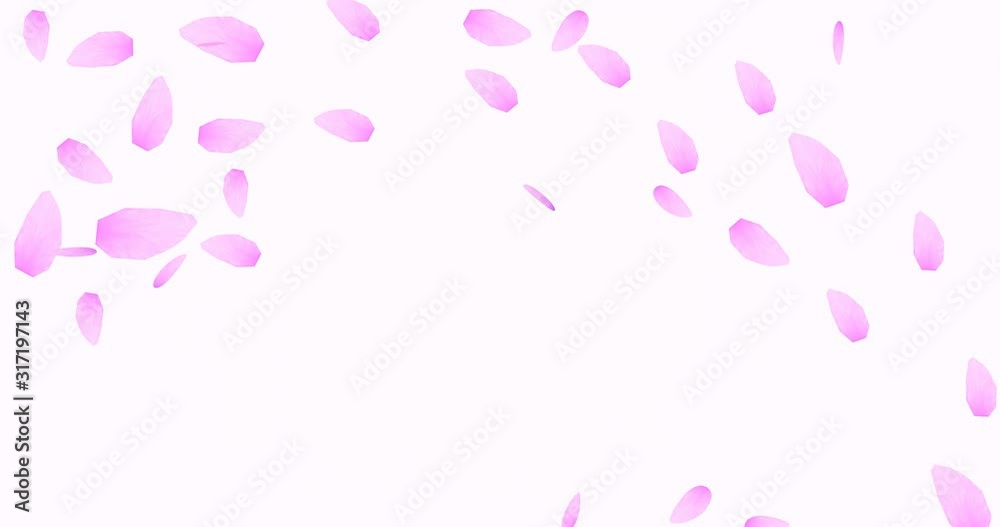ひらひら回転しながら舞う桜の花びら ひらひら回転しながら舞う桜の花びら