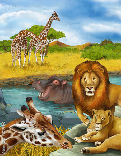 cartoon scene with giraffe and hippopotamus hippo near river and lion