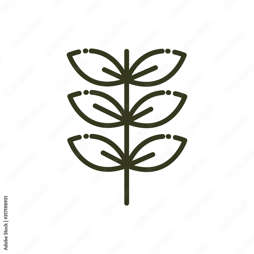 branch leaves foliage nature line design branch leaves foliage nature line design