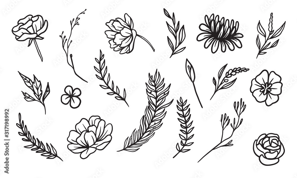set of hand drawn leaf vector illustration, flower lineart isolated graphic elements for your design, floral lineart for classic design