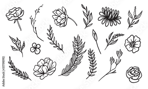 set of hand drawn leaf vector illustration, flower lineart isolated graphic elements for your design, floral lineart for classic design