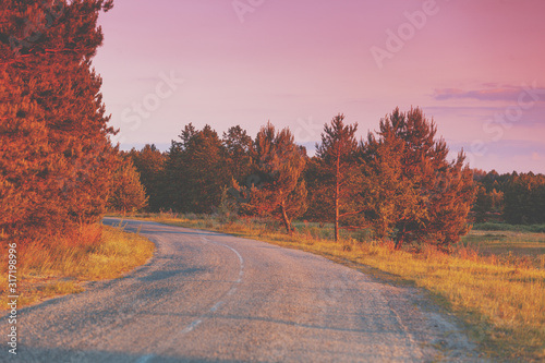 Rural landscape. Winding country road in the evening at sunset light