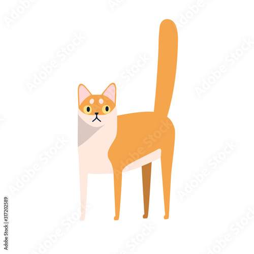 Cute cartoon domestic animal breed vector flat illustration