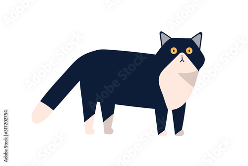 Adorable mammal domestic animal vector flat illustration