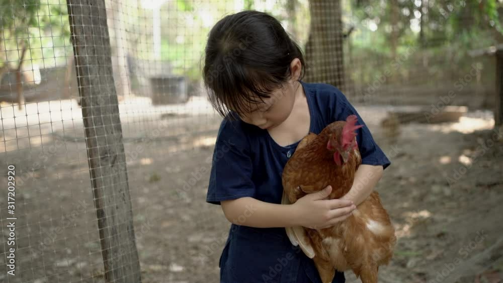 Happy little smiling asian girl is holding a brown hen in the farm at countryside. She smiling and looking at camera, Handheld shot, Real life Happy little smiling asian girl is holding a brown hen in the farm at countryside. She smiling and looking at camera, Handheld shot, Real life