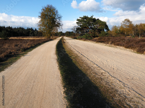 Stabrechtse heide in North Brabant. This is one of the biggest heatlands in the Netherlands. Because of too much nitrogen, the heath is pushed back by grass. photo