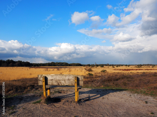 Stabrechtse heide in North Brabant. This is one of the biggest heatlands in the Netherlands. Because of too much nitrogen, the heath is pushed back by grass. photo