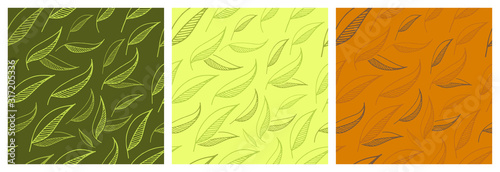 Set of vector seamless backgrounds with hand-drawn tea leaves. Decorative endless tile with green, white and black tea illustration.