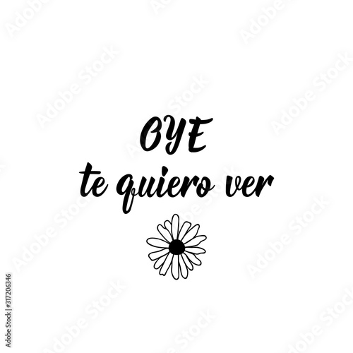 Hey i want to see you - in Spanish. Lettering. Ink illustration. Modern brush calligraphy.