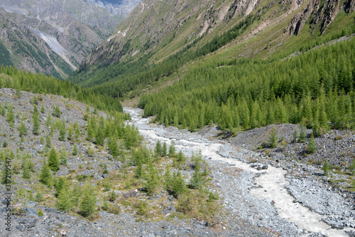 Beautiful alpine landscape. View at mountainous stream.