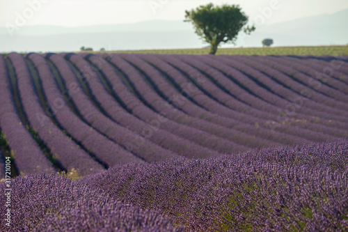 Natural attractions of the Provence region in France