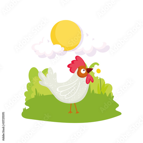 rooster bird flower grass sun farm animal cartoon