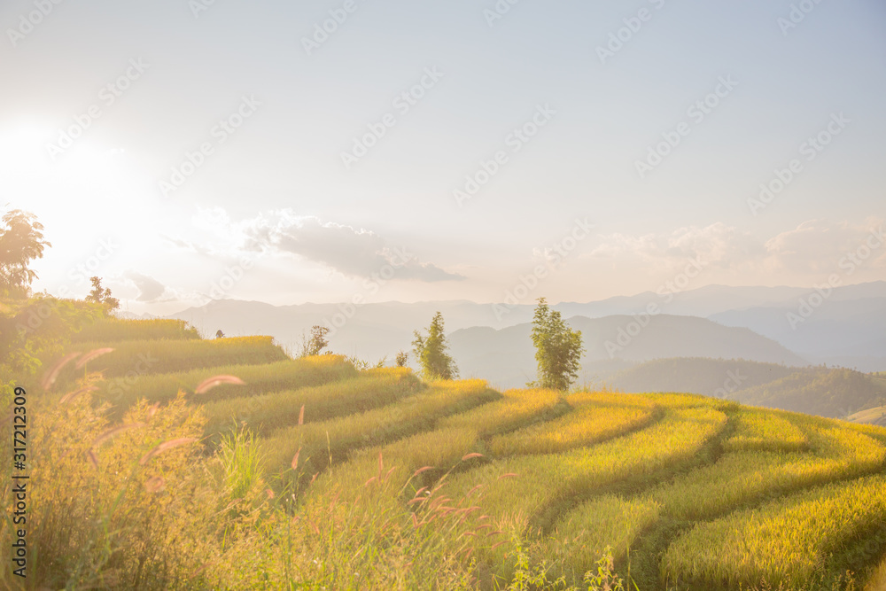 Fototapeta premium Sunset sky landscape view at yellow and green terraced rice field in Pa Pong Piang , Mae Chaem, Chiang Mai, Thailand .