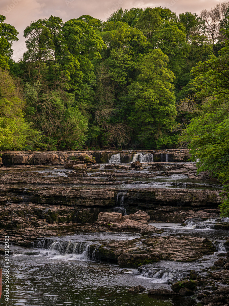 View at the Aysgarth Falls and the River Ure from the Yore Bridge, North Yorkshire, England, UK View at the Aysgarth Falls and the River Ure from the Yore Bridge, North Yorkshire, England, UK