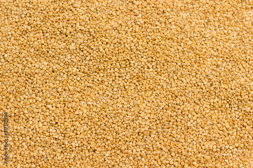 Quinoa seeds source of fiber