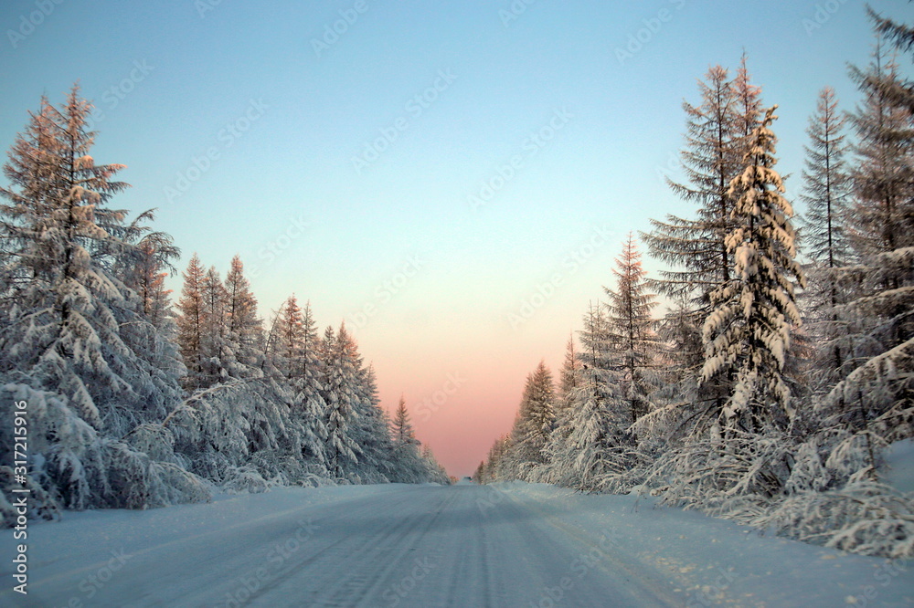 Obraz premium The road in the winter taiga forest