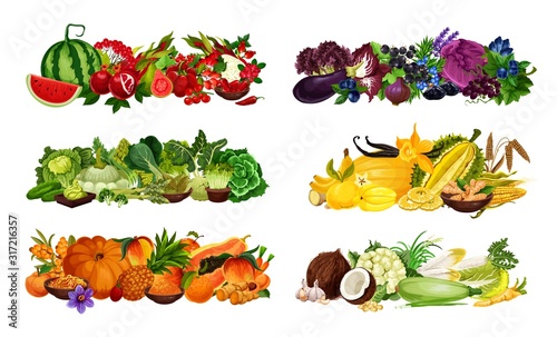 Color diet fruits  berries and vegetables sorted by red and purple  green and yellow  orange and white. Vector watermelon  salad  onion and eggplant  cabbage and banana  pumpkin and peach  corn