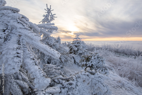 Fototapeta Naklejka Na Ścianę i Meble -  winter landscape beautiful sunset