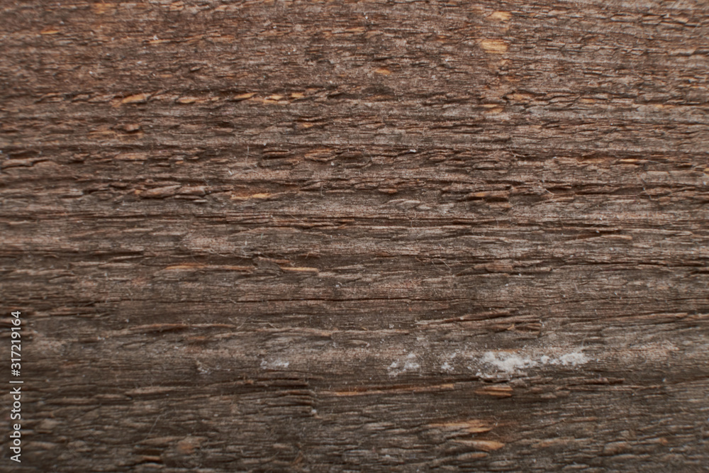 Brown wood texture background coming from natural tree. Abstract wooden panel with beautiful patterns.Background for interior design. Brown wood texture background coming from natural tree. Abstract wooden panel with beautiful patterns.Background for interior design.