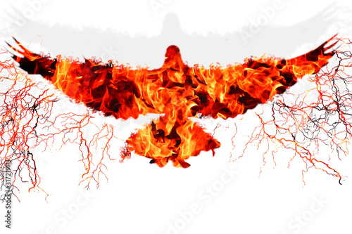 Flying bird in fire and flame silhouette of eagle or dove with lightnings and shadow on white isolated background. Never give up and survive symbol. Getting success in business or relations photo