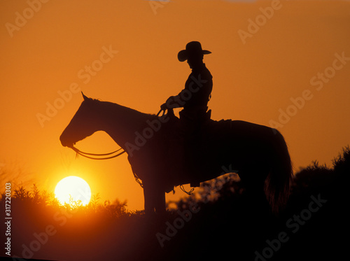 Cowboy Silhouette