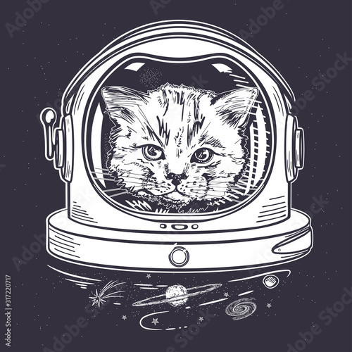 Cat in a space helmet. Astronaut. Portrait of a cat.