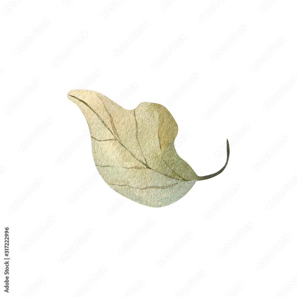 Fototapeta premium Autumn leaf watercolor illustration element decor plant